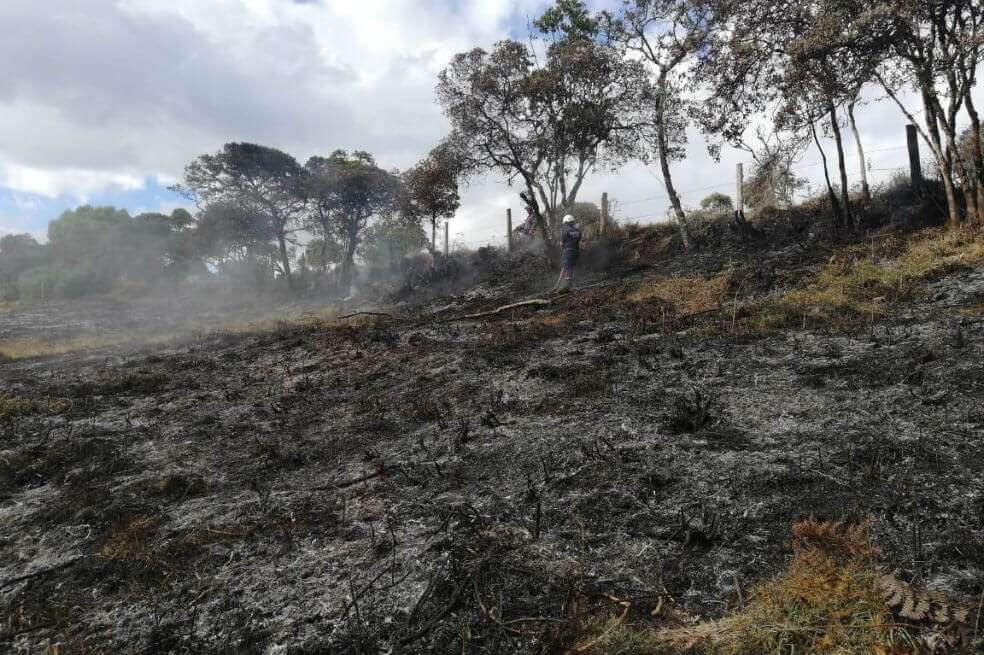 Cuidar las fuentes hídricas, no desperdiciar el agua ni contaminarla y asegurar que los animales de pastoreo se hidraten y protejan del sol son algunas de las recomendaciones de la CAR para disminuir el impacto de esta catástrofe. / Corporación Autónoma Regional de Cundinamarca (CAR)
