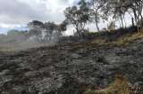 Al menos 110 incendios forestales se han presentado en Cundinamarca este mes