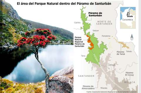 Piden reducir el páramo de Santurbán