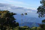 Una estrategia para proteger el agua y los ecosistemas de Colombia