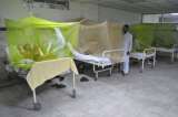 Capacitan a autoridades sanitarias de Cartagena sobre el chikunguya