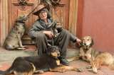 Los perros salvan la vida de los habitantes de la calle