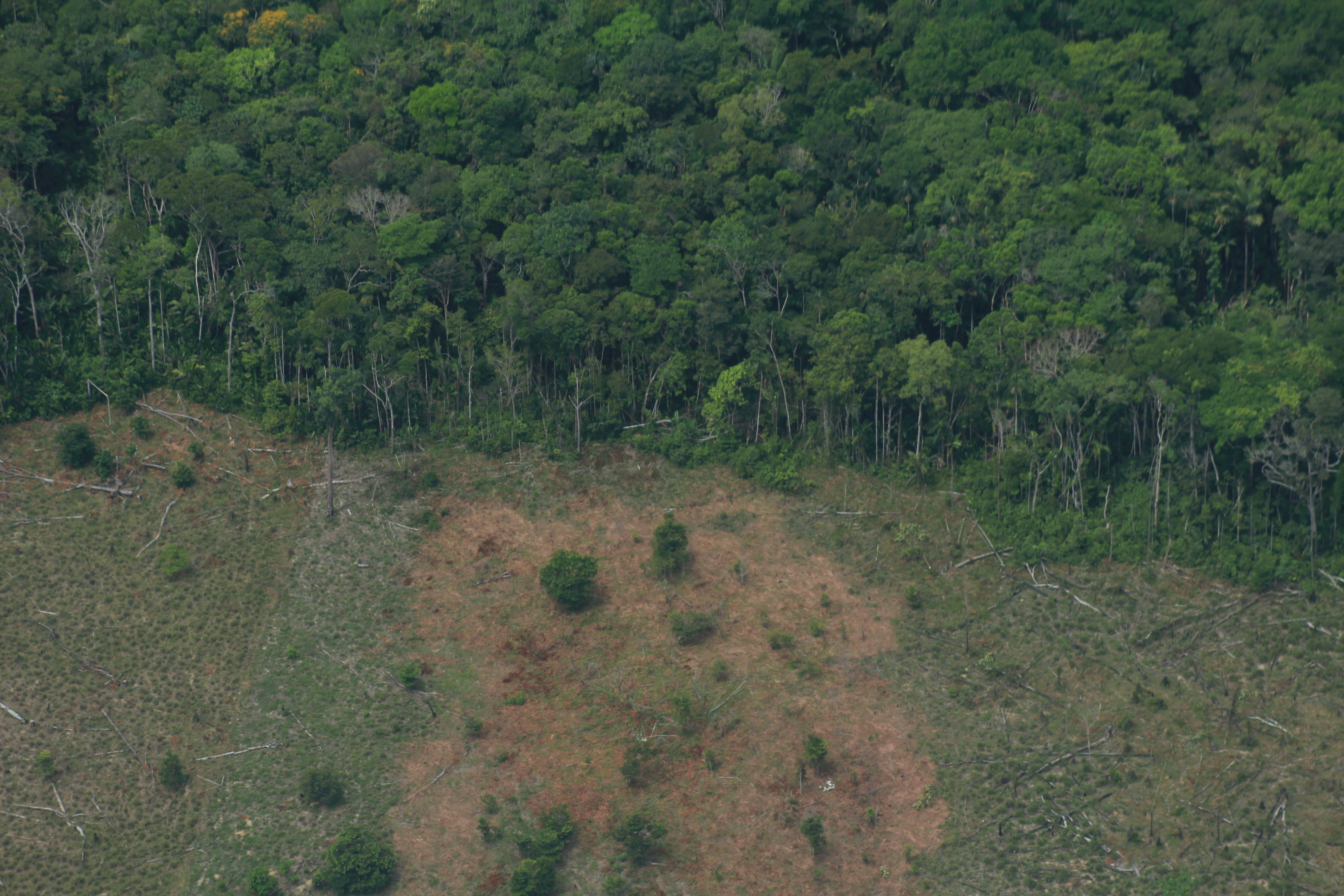 Sobrevuelo junto a USAID y la FCDS del departamento del Guaviare, en el cual se evidencia la situación de deforestación del bosque amazónico.
