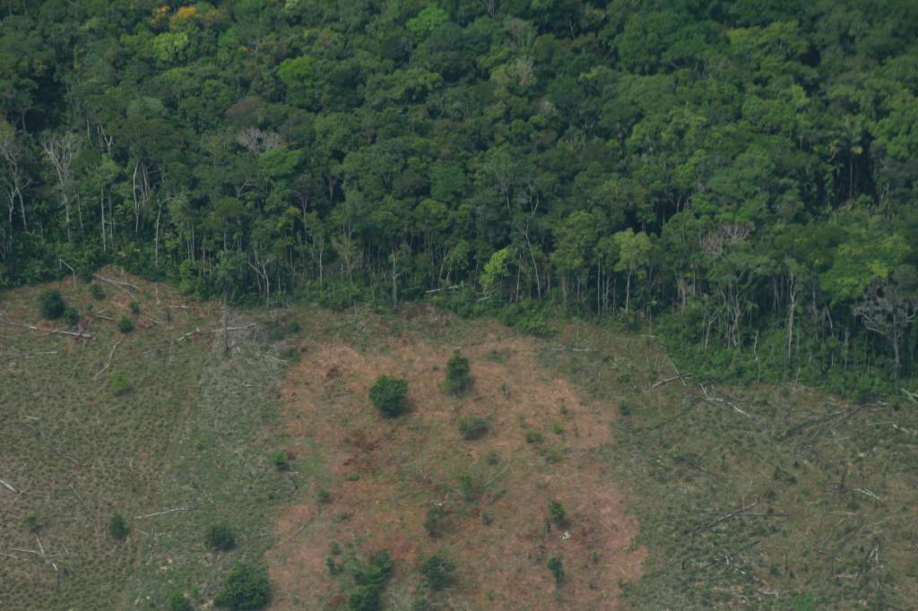 Sobrevuelo junto a USAID y la FCDS del departamento del Guaviare, en el cual se evidencia la situación de deforestación del bosque amazónico.
