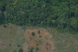 La Amazonia, otra de las afectadas por la suspensión de la cooperación internacional de USAID