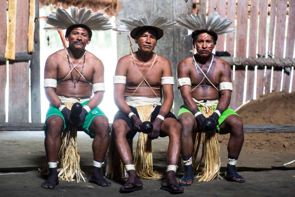 Los grupos indígenas de la Amazonia proponen conservar la región en un 80 % para 2025.