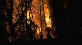 Incendio forestal en España: 500 hectáreas arrasadas