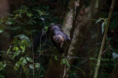 (Opinión) COP16: un llamado a hacer la Paz con la naturaleza