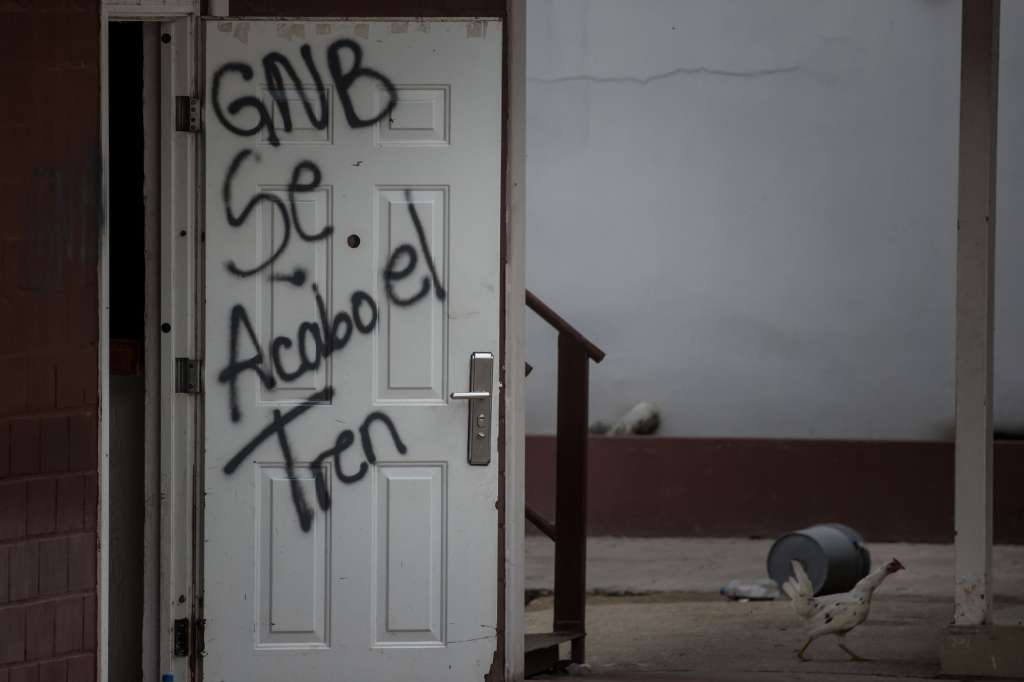 AME2048. TOCORÓN (VENEZUELA), 23/09/2023.- Fotografía que muestra una gallina durante un operativo en la entrada del centro penitenciario Tocorón hoy, en Tocorón (Venezuela). El ministro de Interior y Justicia de Venezuela, Remigio Ceballos, negó este sábado que haya habido "negociación alguna" con las bandas criminales, entre ellas la transnacional "Tren de Aragua", durante la intervención policial y militar de la cárcel de Tocorón, en el norte del país, llevada a cabo el miércoles, con el despliegue de más de 11.000 funcionarios. EFE/ Miguel Gutiérrez
