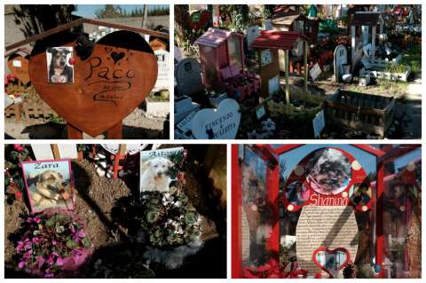 Casa Rosa, el único cementerio de mascotas con casi 90 años de historia