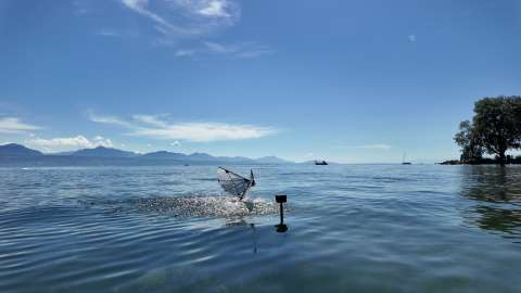 Este nuevo robot con alas es capaz de sumergirse en el agua y salir volando como un ave