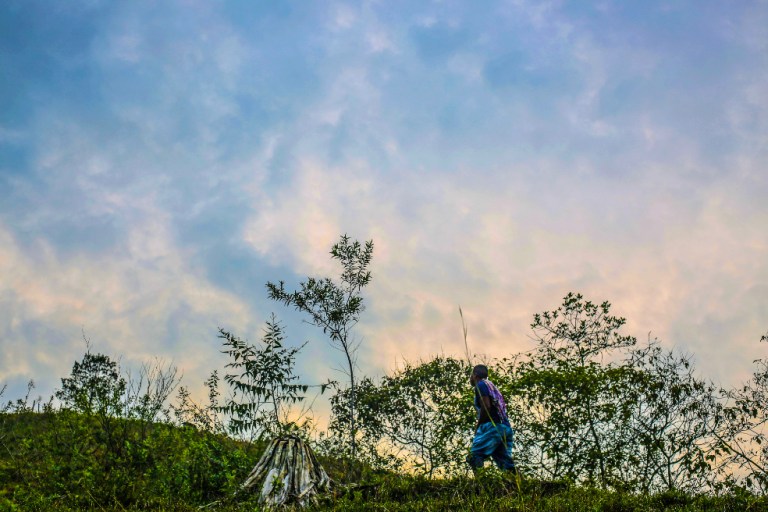 Los proyectos que los exguerrilleros impulsan en medio de la violencia en Cauca