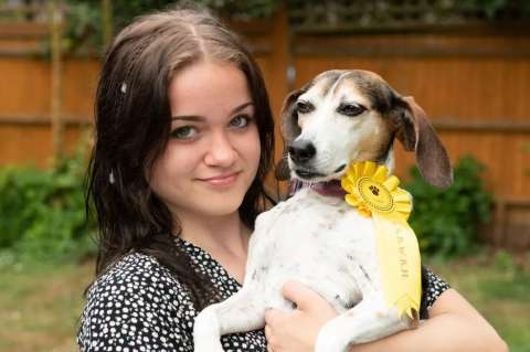 Perrita escapa de su casa y regresa con el premio de una exposición canina, ¿qué pasó?