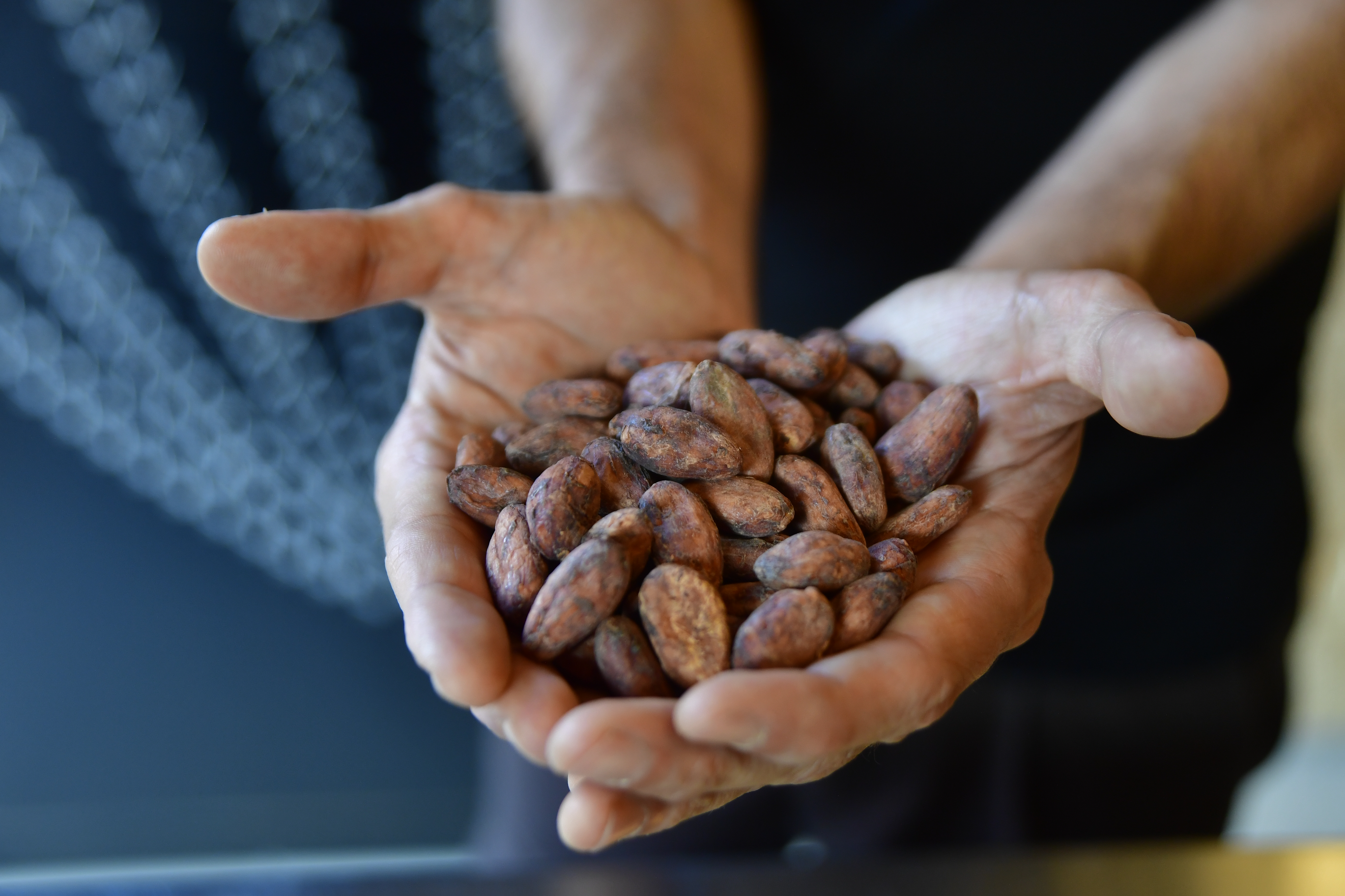 Empresa de Cacao colombiano fundado por el italiano Baglio La Rotonda