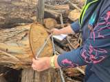 Decomisan 800 bultos de carbón vegetal en operativo ambiental en Mosquera