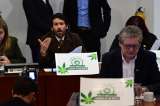 Regulación del cannabis de uso adulto superó su quinto debate en la Cámara