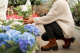 ¿Se puede revivir una hortensia deshidratada? Este método le ayuda a recuperarla
