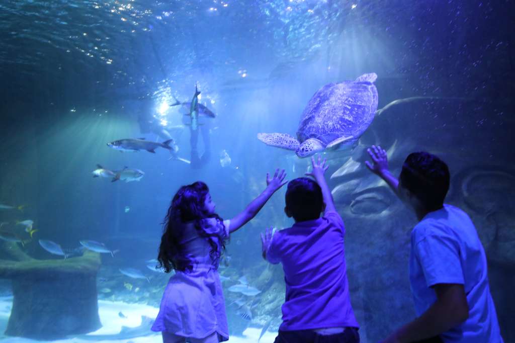 Visit Orlando Orlando SeaWorld IconPark