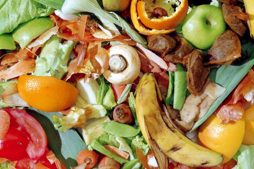 La producción de alimentos que se desperdician representan anualmente más del 8 por ciento de las emisiones de gases de efecto invernadero en el mundo.