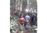 Enfrentamientos por erradicación forzada de coca dejan un muerto en Tumaco