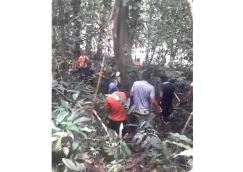 Enfrentamientos por erradicación forzada de coca dejan un muerto en Tumaco