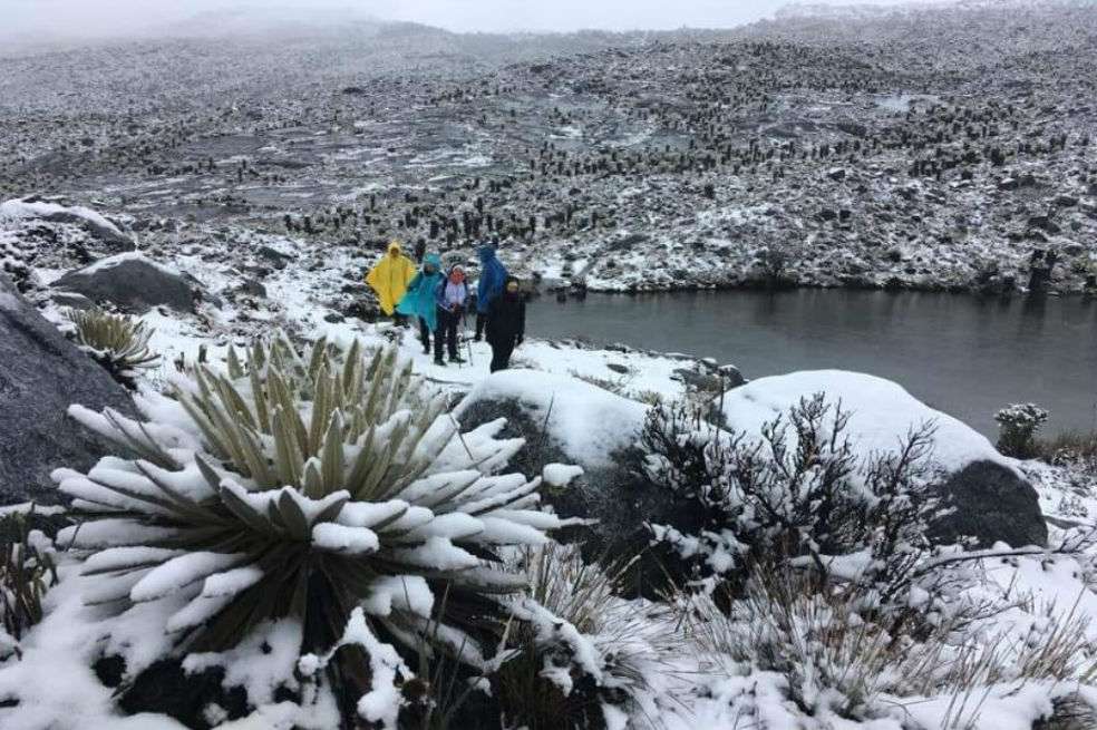 El Parque Nacional Sierra Nevada del Cocuy protege 360.000 kilómetros cuadrados y cuenta con el glaciar más alto de Colombia. / @CesarPachonAgro
