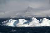 El ecosistema que escondía un iceberg gigante que se desprendió en la Antártida
