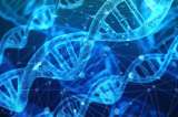 ADN en las células, el "Descubrimiento del Año" en 2018 para la revista Science