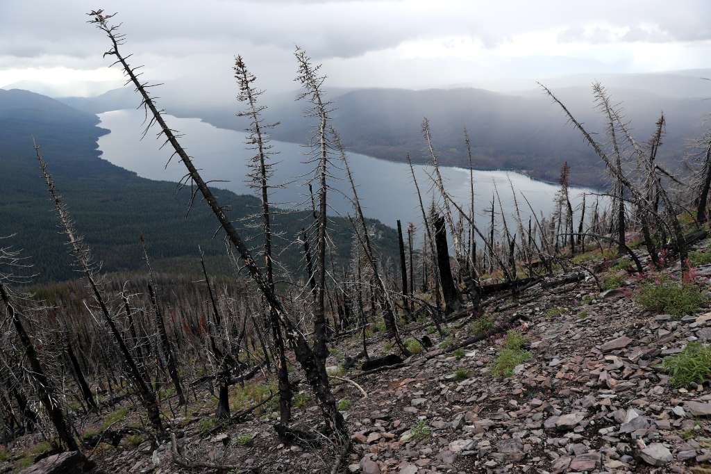 Montana, que también es llamada el “Estado Tesoro”, entre otros nombres no oficiales, ha tenido su destino atado al de la industria minera desde hace mucho. Esto ha impactado negativamente en el medio ambiente del Estado.