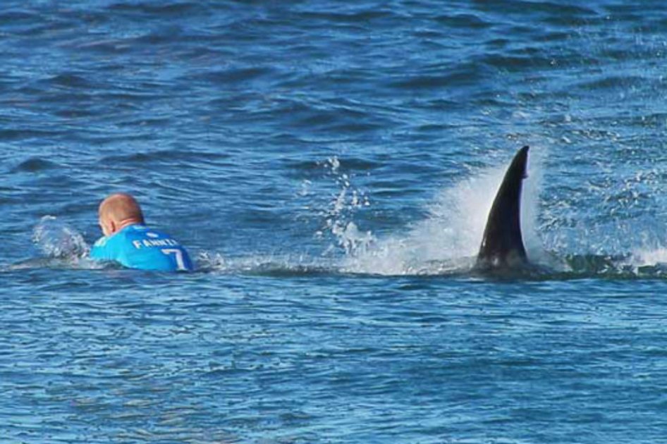 El surfista australiano Mick Fanning, triple campeón mundial, escapó con vida del ataque de un tiburón el año pasado durante una competencia / Archivo EFE