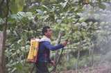 Los desafíos para acelerar la reincorporación de la FARC