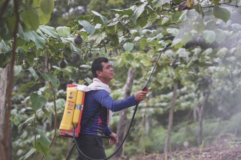 Los desafíos para acelerar la reincorporación de la FARC