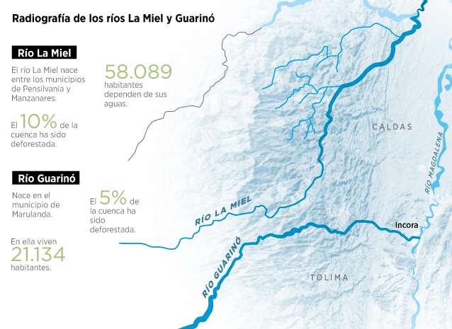 Mayor gobernanza para los ríos de CaldasCuencas CaldasEl EspectadorLa deforestación, la sequía y la falta de normas tienen en jaque a dos de las cuencas más importantes de Caldas. El 10 % del área del río La Miel fue talada y el cambio del uso del suelo es la principal causa. Esta situación tiene en vilo a los 58.000 habitantes que dependen de sus aguas y a las hidroeléctricas que funcionan en el embalse Amaní. (Le puede interesar:Los males que tienen agonizando a los ríos La Miel y Guarinó, en Caldas)