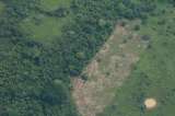 En 12 años, tres parques nacionales de la Amazonía han perdido 95.000 hectáreas de bosque