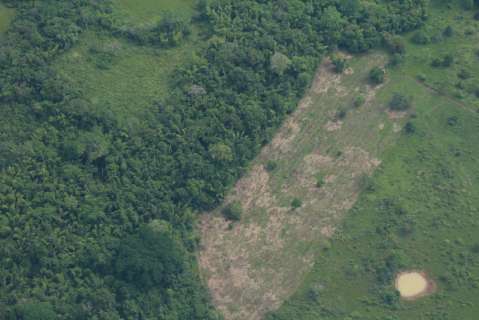Las diez noticias de la Amazonia más destacadas este 2024
