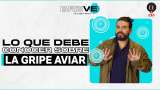 Aquí le explicamos cuál es la bulla con la gripe aviar