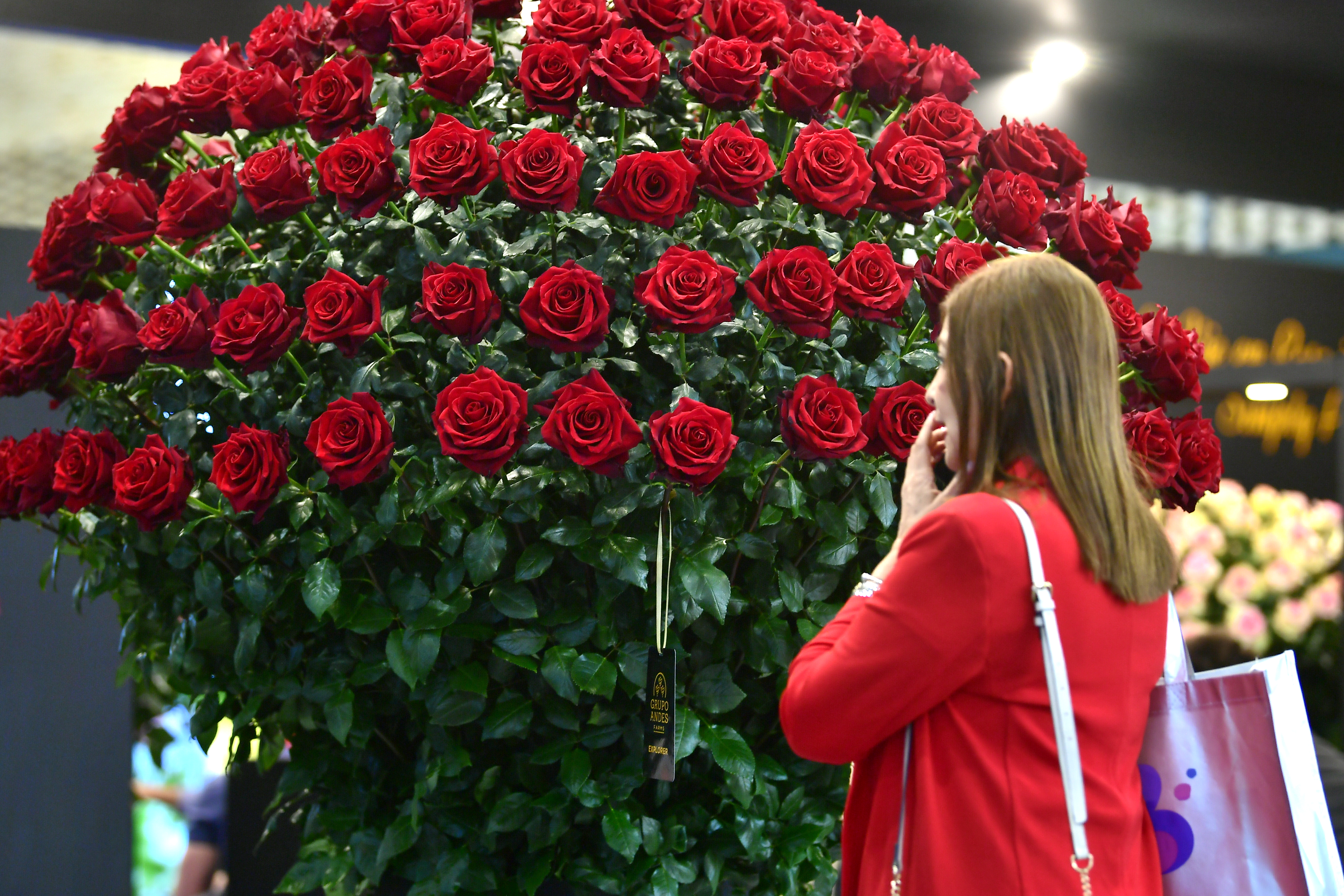 Feria internacional de flores frescas cortadas organizada por la Asociación Colombiana de Exportadores de Flores (Asocolflores) y a la que asisten compradores de 60 países.