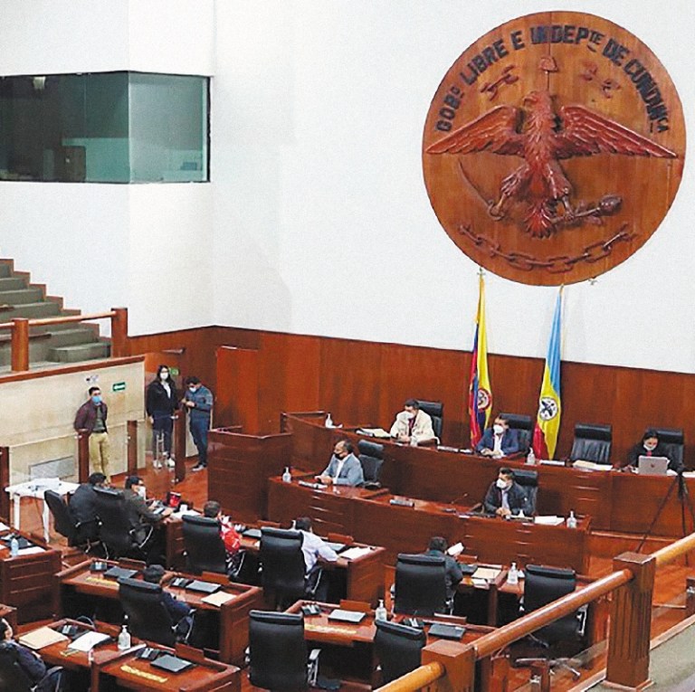 Diputado departamental, un cargo difuso en Colombia