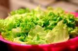4 importantes razones por las que debes comer lechuga todos los días