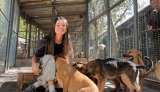 Este refugio en Bogotá está dando una nueva vida a los perros que nadie quiso