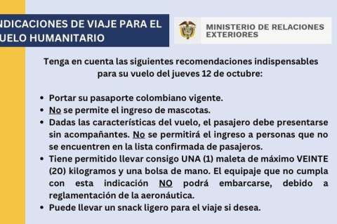 Sin mascotas: ¿qué hay tras las quejas por los vuelos humanitarios desde Israel?