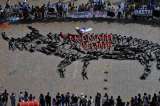 En el Congreso se intentará, una vez más, prohibir las corridas de toros