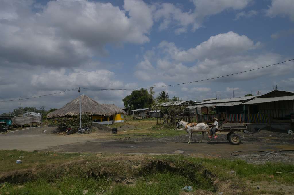 ETCR las brisas en el Chocó