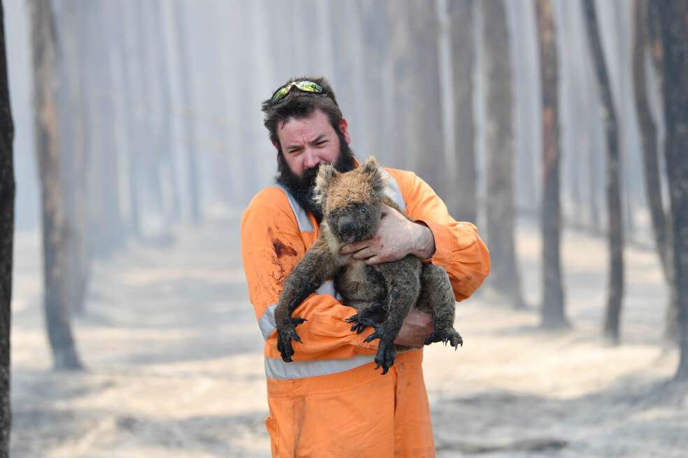 Los incendios tuvieron un impacto más breve pero más significativo, enfriando el planeta en unos meses alrededor de 0,06 grados Celsius.