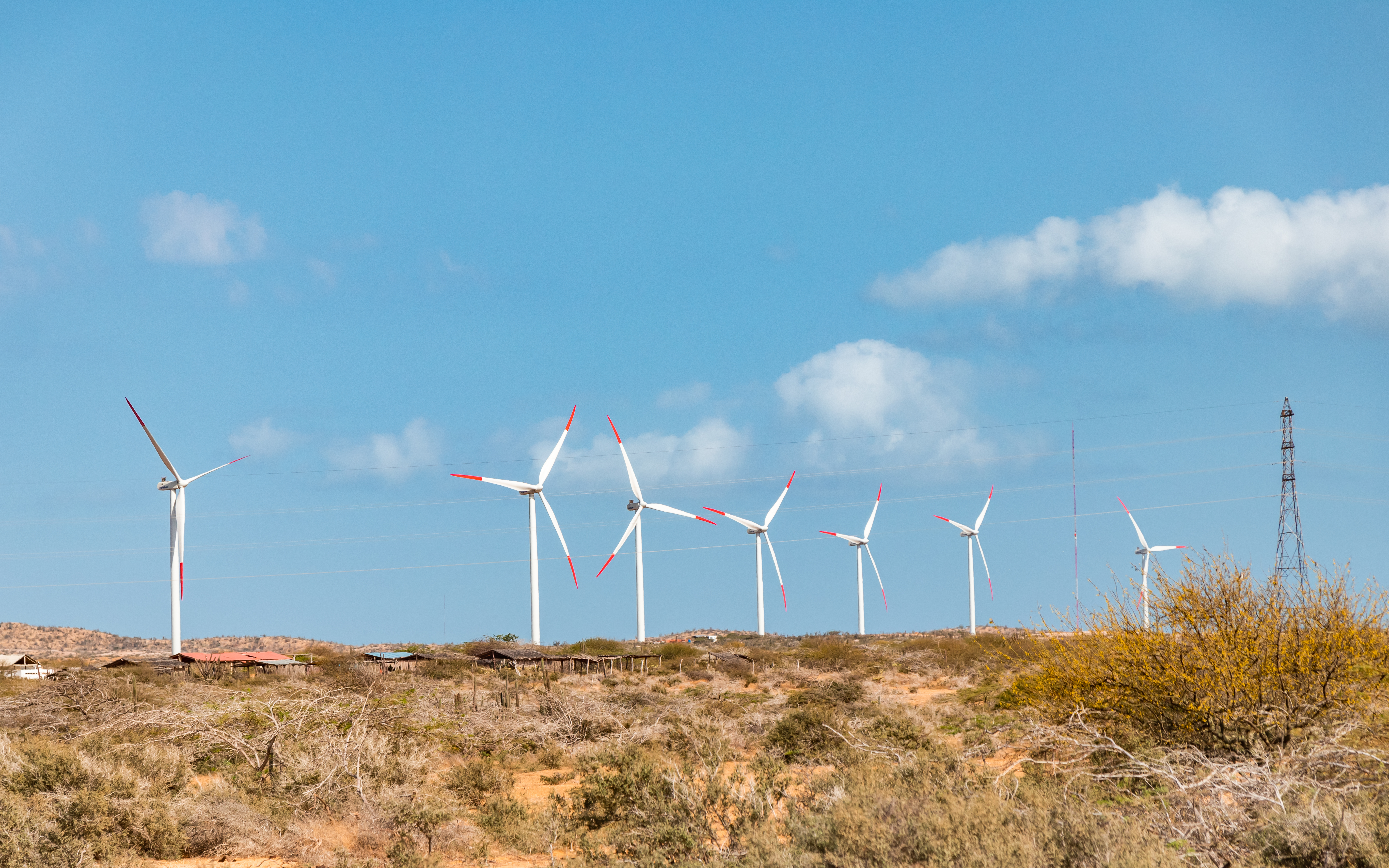 La Guajira es uno de los departamentos con mayor potencial de generación de energía eólica. / Getty Images