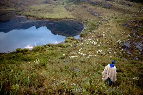 Los páramos y la alta montaña serán el centro del diálogo en la Casa Humboldt de Tunja