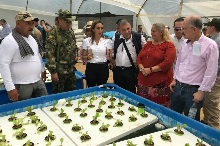 ¿Qué encontró la Comisión de Paz del Congreso en Miravalle, Caquetá?