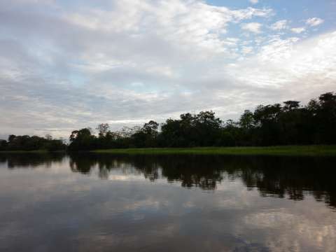 Colombia tiene dos nuevas áreas para la conservación de rayas en la Amazonía