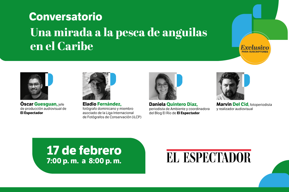 Participa este 17 de febrero por cortesía de El Espectador en el conversatorio “Una mirada a la pesca de Anguilas en el Caribe”.