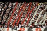 Barras Bravas de Brasil se oponen al cambio de conducta en los estadios